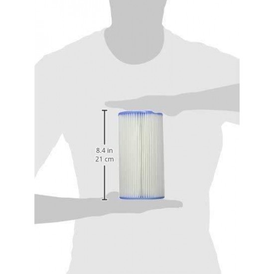 Intex Type A or C Filter Cartridge for Pools
