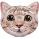 Intex Cat Face Inflatable Island, 58in x 53in, Multicolor, Model:58784EP